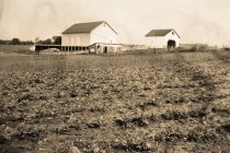 Barns on Barley farm
